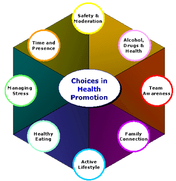 health_wheel%5B1%5D.gif