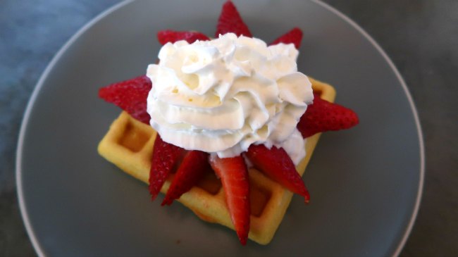 25 High Protein Desserts – Best Satisfying Low Carb Dessert Recipes