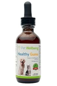 Health & Fitness,Healthy Live,Dental health,medical treatment,supplements for health