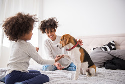 Photo courtesy of Adobe Stock Photo courtesy of Adobe Stock