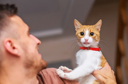 Photo courtesy of Adobe Stock Photo courtesy of Adobe Stock