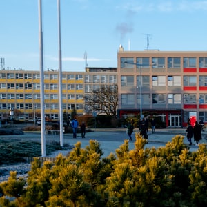 education