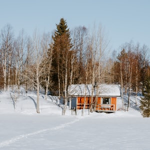 house and real estate