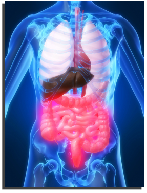 irritable-bowel.jpg