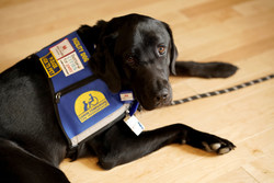 Photo courtesy of Mars Petcare Photo courtesy of Mars Petcare