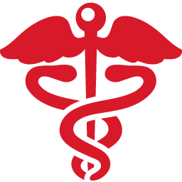 Health-Sign-red-icon.png